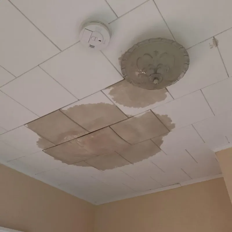 Ceiling Water Damage Repair in Woodmore, MD